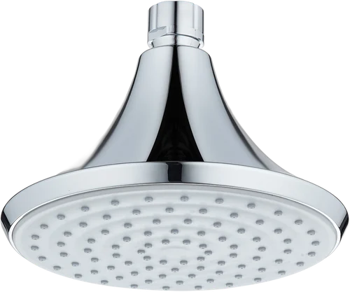 Rain shower head